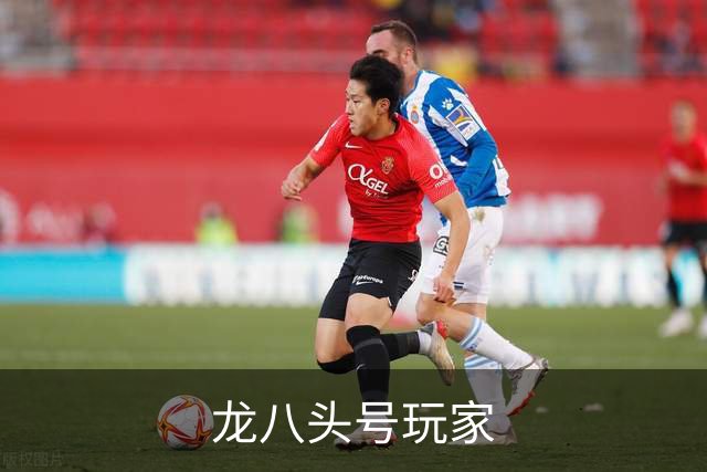 龙八头号玩家公司环境